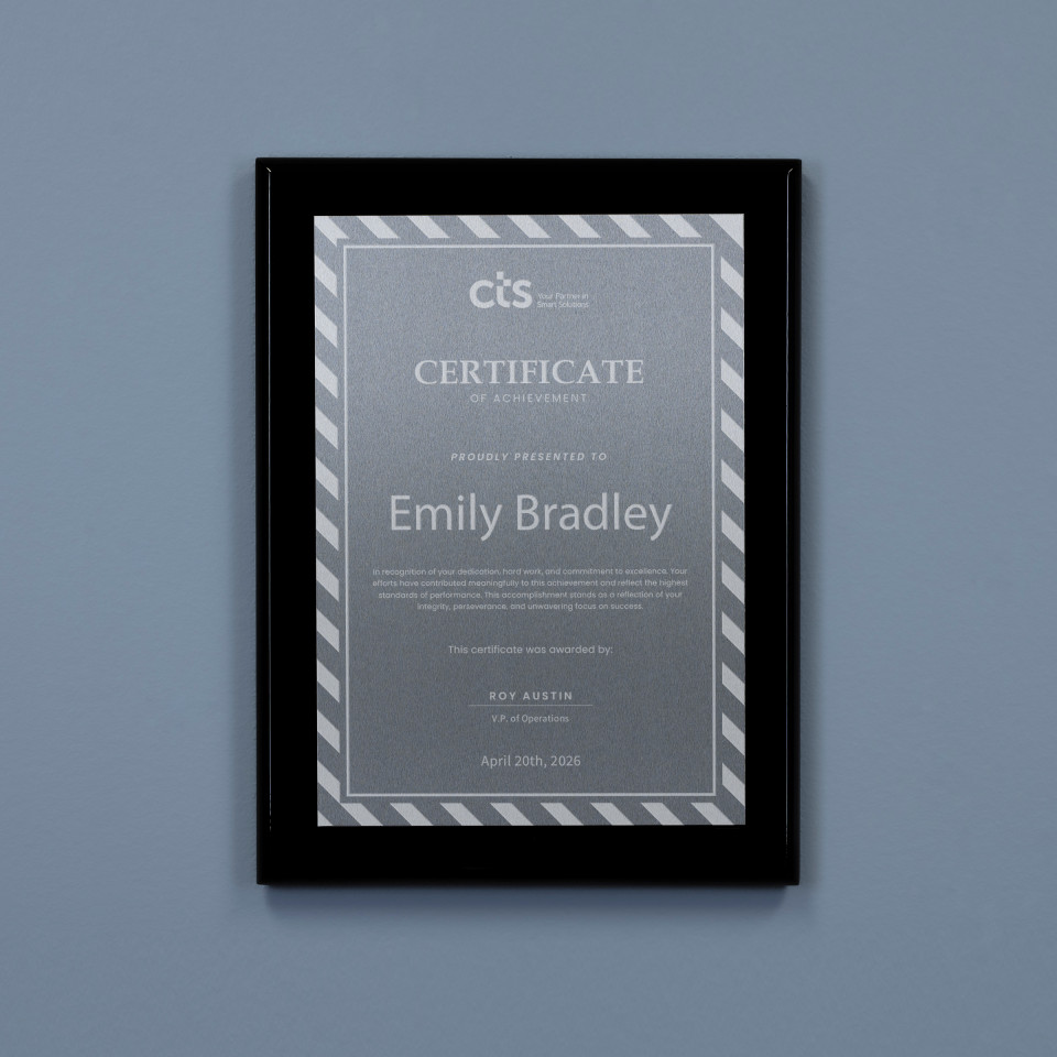 Obsidian Plaque - Silver