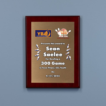 Ember Plaque - Bronze